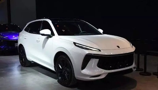 اختلاف قیمت لاماری از کارخانه تا بازار به 540 میلیون تومان رسید اختلاف قیمت لاماری از کارخانه تا بازار به 540 میلیون تومان رسید